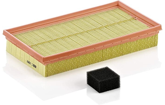 Air Filter C 2982 KIT Mann