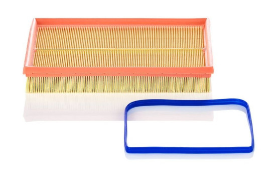 Air Filter C 2998/5 x MANN-FILTER, Image 2
