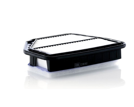 Air Filter C 30 012 Mann, Image 2