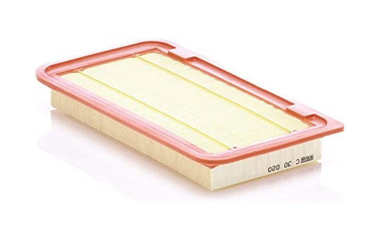 Air Filter C 30 020 MANN-FILTER