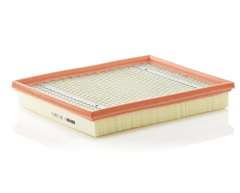 Air Filter C 30 130/1 Mann, Image 2
