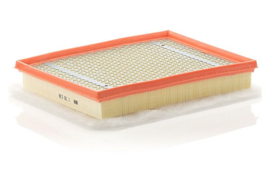 Air Filter C 30 138 MANN-FILTER, Image 2