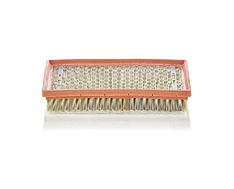 Air Filter C 30 170/1 Mann