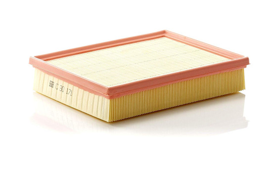 Air Filter C 30 171 Mann