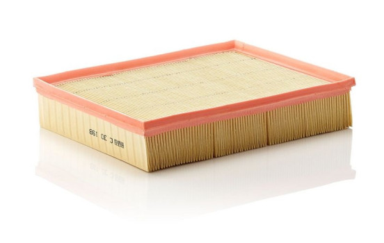 Air Filter C 30 198 MANN-FILTER, Image 2