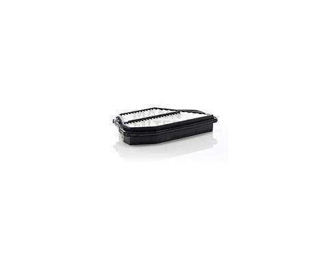 Air Filter C 3027/1 Mann
