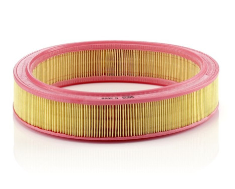 Air Filter C 3055 Mann, Image 2