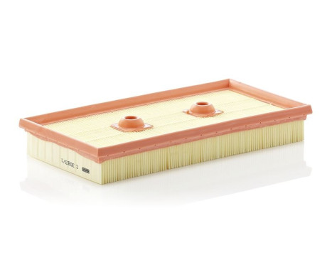 Air Filter C 3083/1 Mann, Image 3