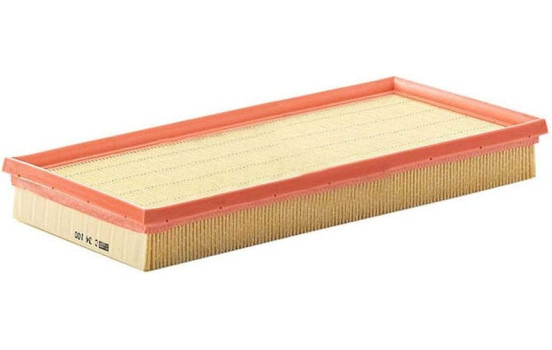 Air Filter C 31 121 MANN-FILTER