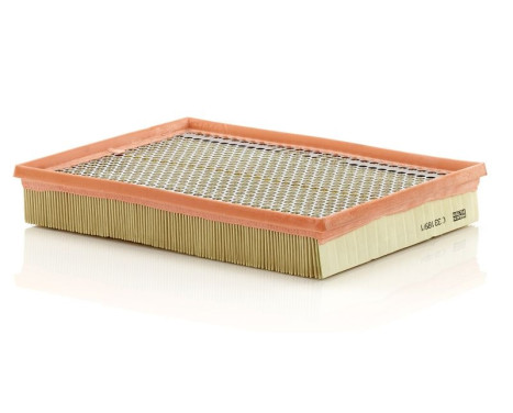 Air Filter C 33 189/1 Mann, Image 2
