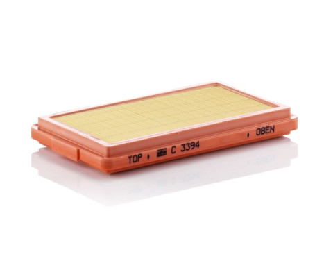 Air Filter C 3394 Mann, Image 2