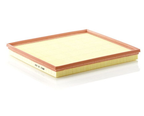 Air Filter C 35 009 Mann, Image 2