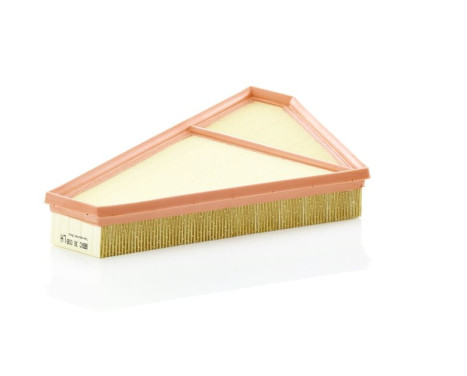 Air Filter C 36 008 Mann, Image 2