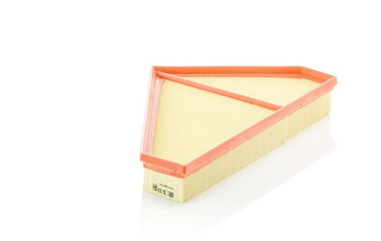 Air Filter C 36 009 MANN-FILTER, Image 2