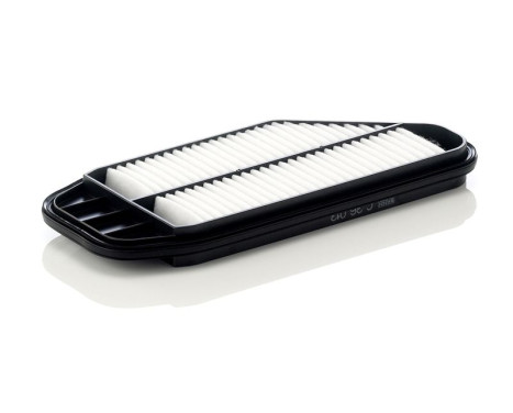 Air Filter C 36 013 Mann, Image 2