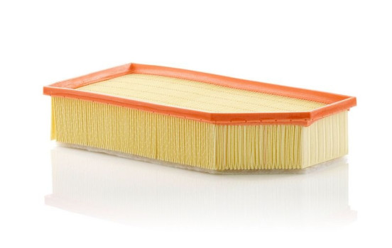Air Filter C 36 030 MANN-FILTER, Image 2