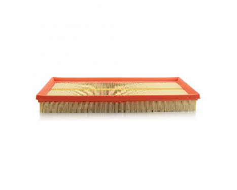 Air Filter C 3689 Mann, Image 2