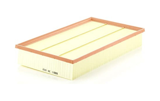 Air Filter C 38 002 MANN-FILTER