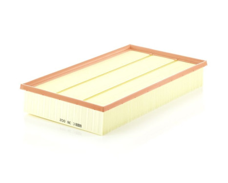 Air Filter C 38 002 Mann, Image 2