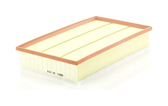 Air Filter C 38 003 MANN-FILTER