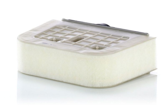 Air Filter C 38 011 Mann