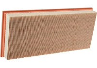 Air Filter C 38 163/1 Mann