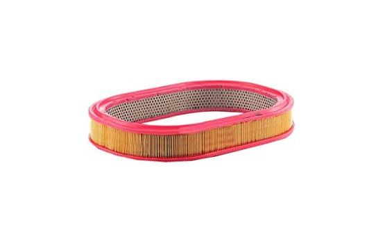 Air Filter C 3975/1 MANN-FILTER