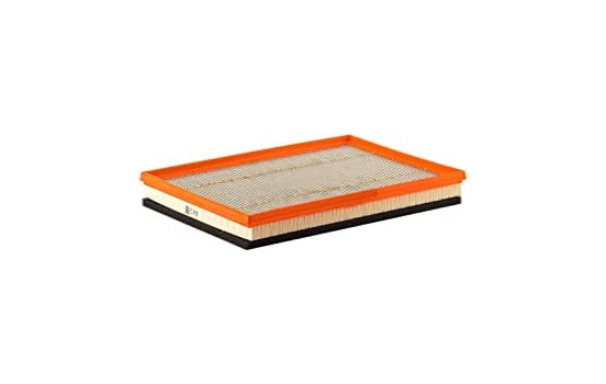 Air Filter C 4019 MANN-FILTER