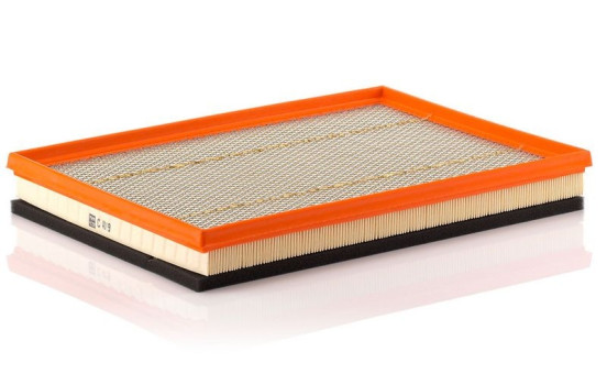 Air Filter C 4019 MANN-FILTER, Image 2