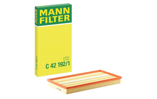 Air Filter C 42 192/1 MANN-FILTER, Image 4