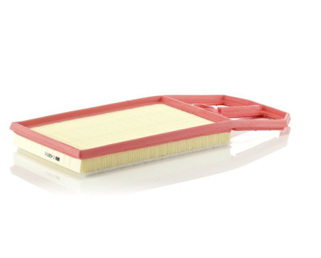 Air Filter C 4287/1 Mann, Image 2