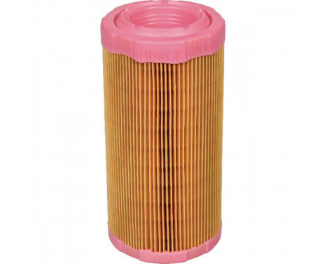 Air Filter C 946/2 Mann