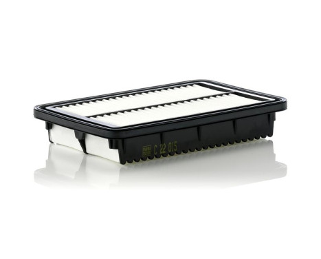 Air Filter C22015 Mann, Image 2