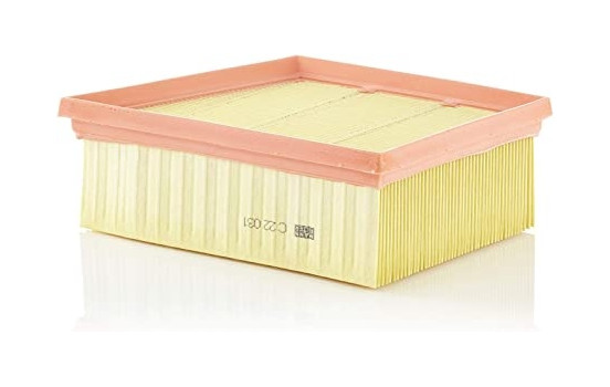 Air Filter C22031 Mann