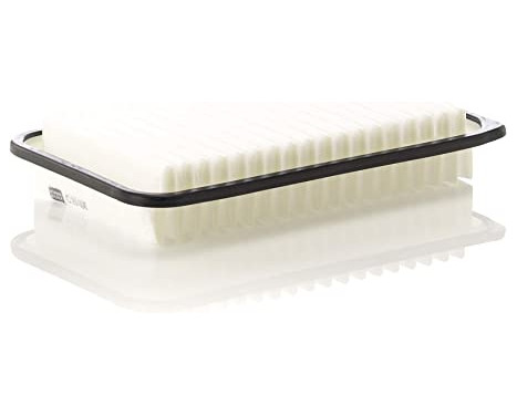 Air Filter C25006 Mann
