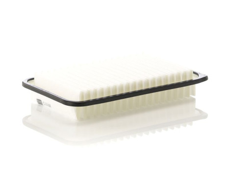 Air Filter C25006 Mann, Image 2