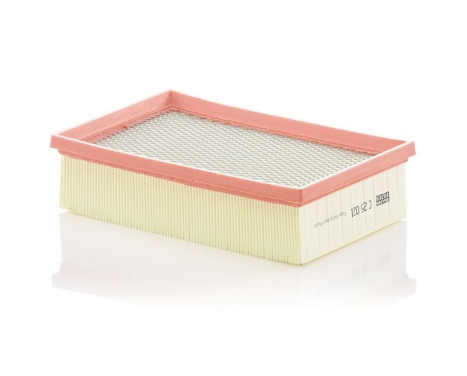 Air filter C25021 Mann, Image 2
