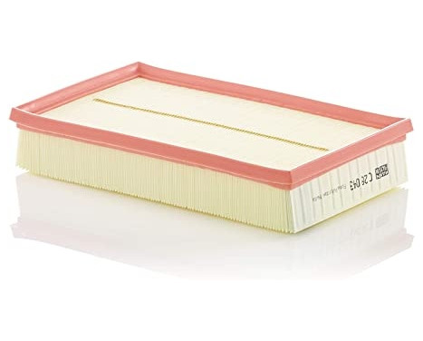 Air filter C28043 Mann