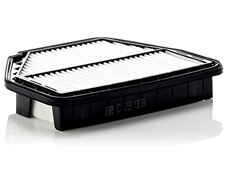 Air Filter C29008 Mann