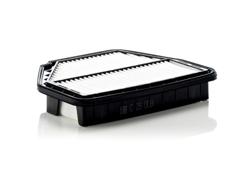 Air Filter C29008 Mann, Image 2