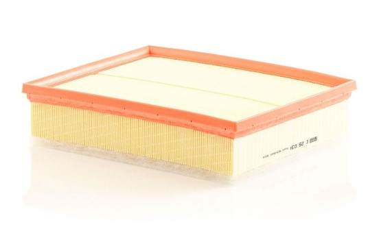 Air Filter C29034 Mann, Image 2