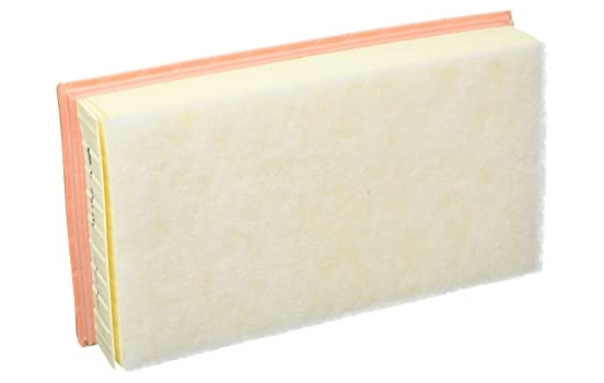 Air Filter C29110 Mann