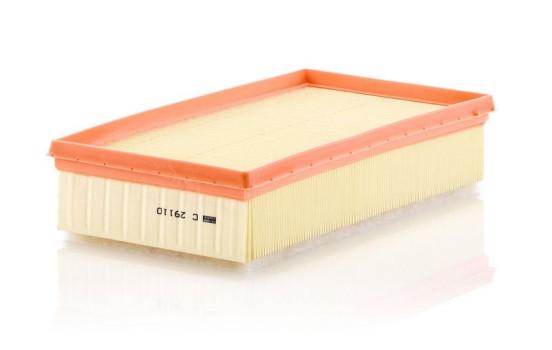 Air Filter C29110 Mann, Image 2