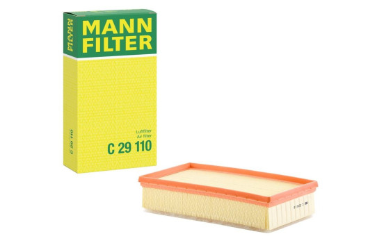 Air Filter C29110 Mann, Image 4