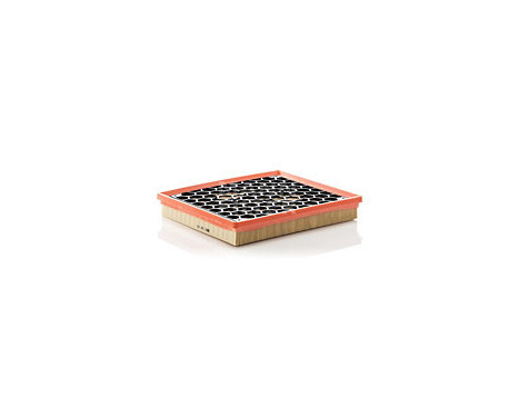 Air Filter C29145 Mann