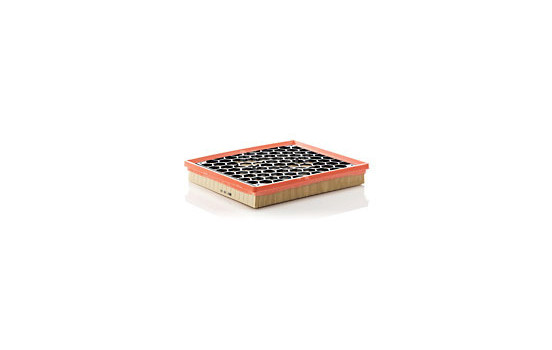 Air Filter C29145 Mann