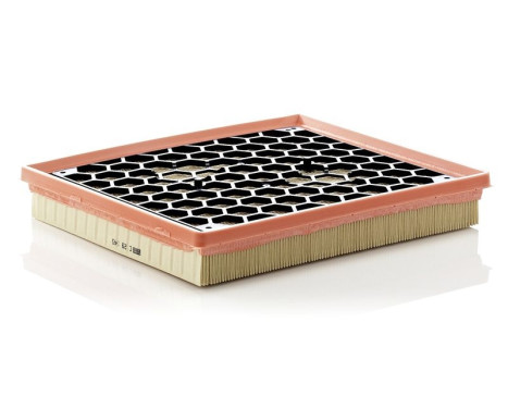 Air Filter C29145 Mann, Image 2