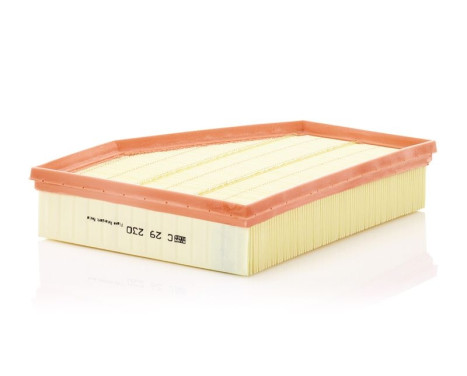 Air Filter C29230 Mann, Image 2