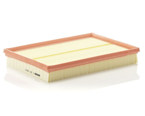Air Filter C30125/1 Mann, Image 3