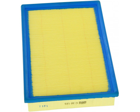 Air Filter C30125/4 Mann